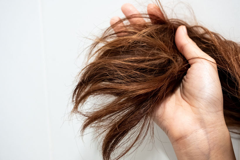 How to Moisturize Dry Hair: 8 Pro Tips